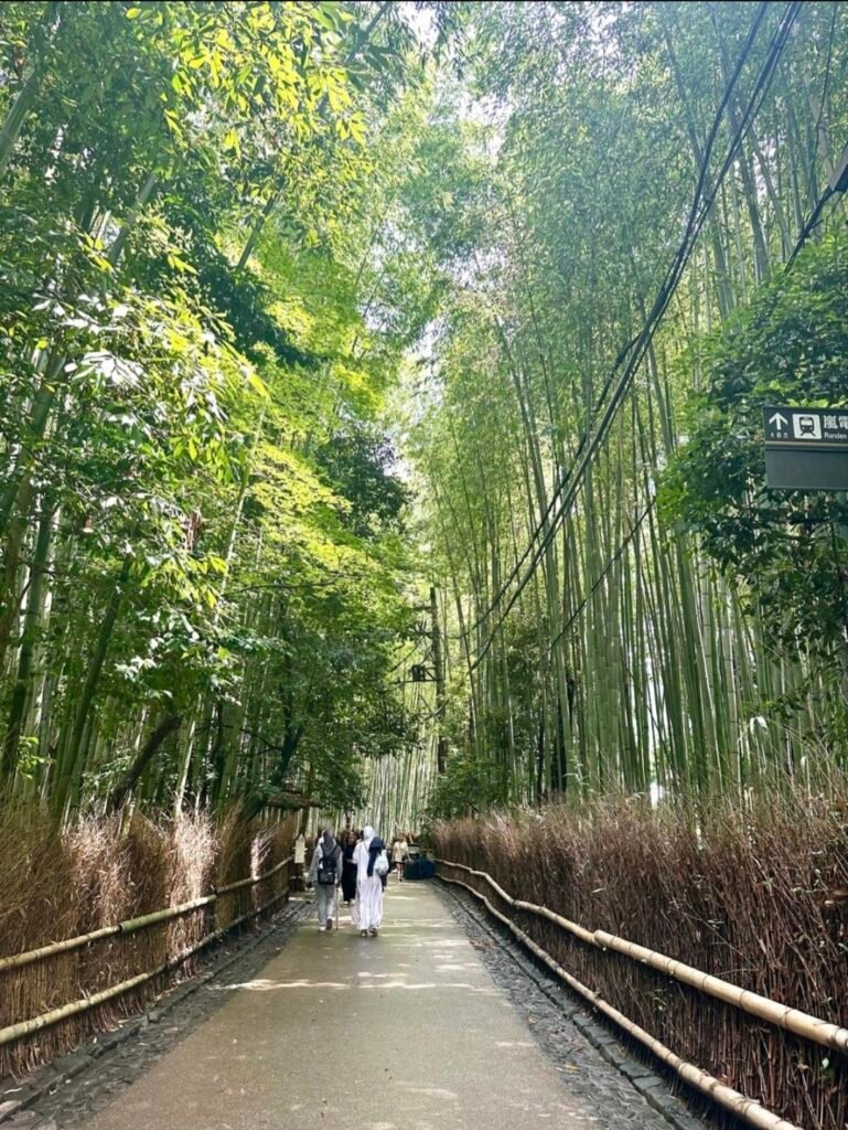 VISITORS WALKING DOWN THE MAIN PATHWAY SURROUNDED BY TOWERING BAMBOO STALKS AND WOVEN FENCES INSIDE ARASHIYAMA BAMBOO GROVE IN KYOTO