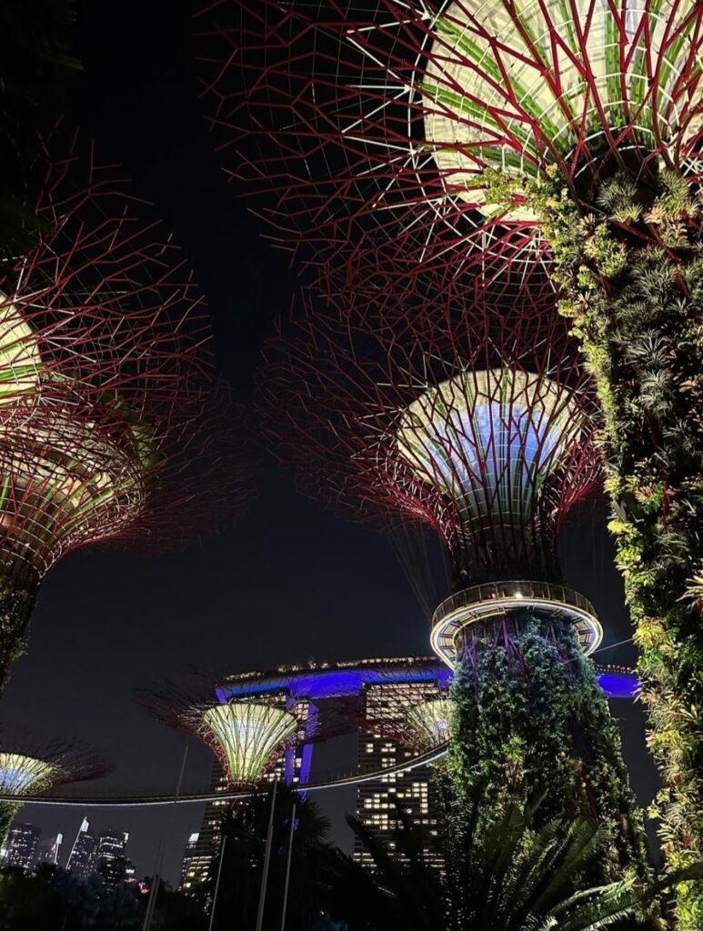 Low-angle night view of the illuminated Supertree Grove structures at Gardens by the Bay with Marina Bay Sands in the background.